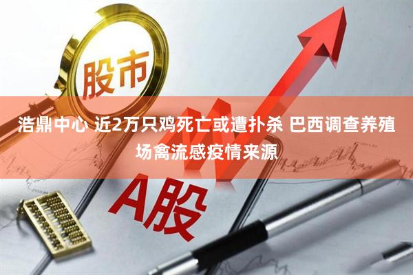 浩鼎中心 近2万只鸡死亡或遭扑杀 巴西调查养殖场禽流感疫情来源