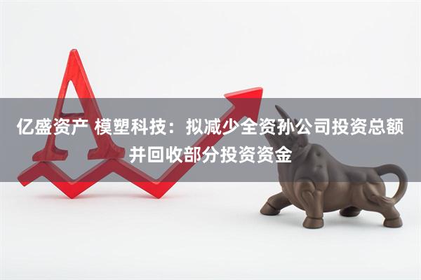 亿盛资产 模塑科技：拟减少全资孙公司投资总额并回收部分投资资金