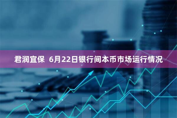 君润宜保  6月22日银行间本币市场运行情况