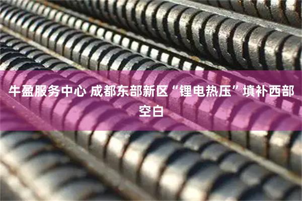 牛盈服务中心 成都东部新区“锂电热压”填补西部空白